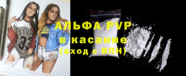 твердый Абаза