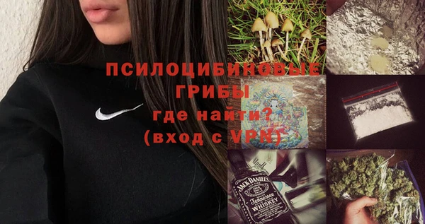 твердый Абаза