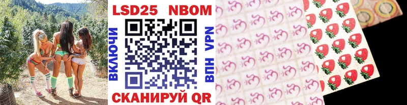 darknet как зайти Грозный Марки NBOMe 1,5мг что такое