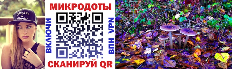 Псилоцибиновые грибы Cubensis Грозный