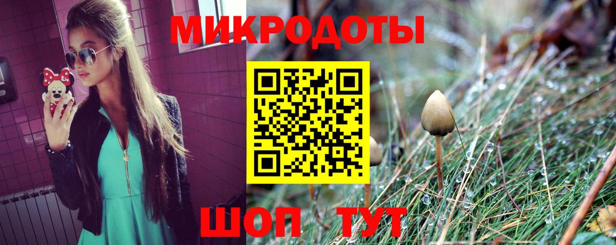 Псилоцибиновые грибы MAGIC MUSHROOMS  Вход с VPN  Грозный  магазин продажи наркотиков  Псилоцибиновые грибы Magic Shrooms 