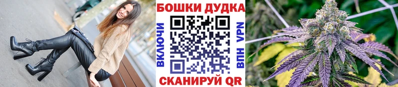 Каннабис SATIVA & INDICA  как найти наркотики  Грозный 